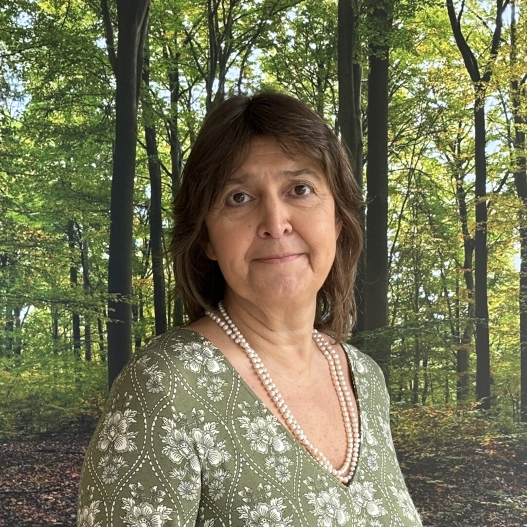 Shirine Vincent