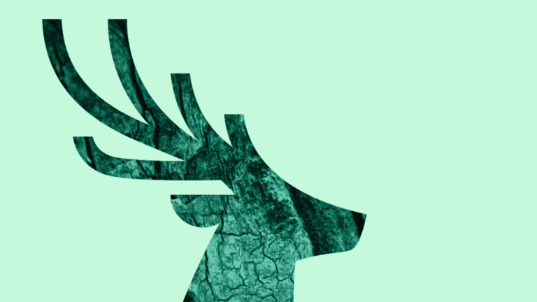 textured stag